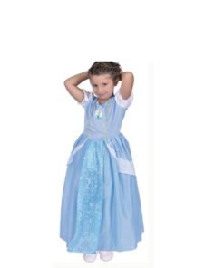 Disfraz Cenicienta Premium