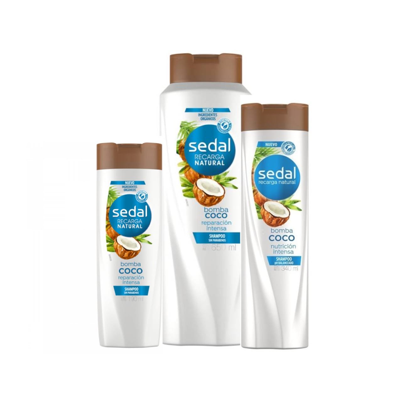 Sedal Shampoo Bomba de Coco