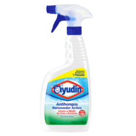Ayudin Antihongos Removedor Activo x500