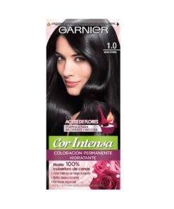 Garnier Cor Intensa N°1.0 Negro Intenso
