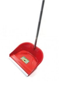 Romyl Pala con Mango