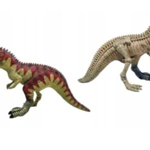 Gigantosaurus 3D Dinosaurio con Esqueleto al Reverso
