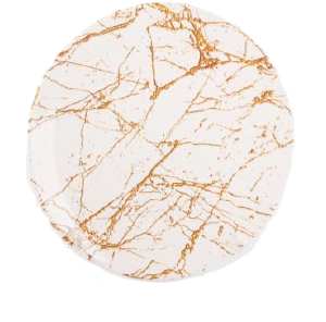 Plato Playo Salpicré